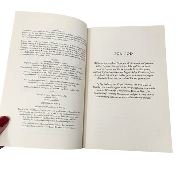 The Sight by David Clement Davies Firebird Fantasy 2002 Copy New - Picture 5 of 6